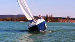 viko 23